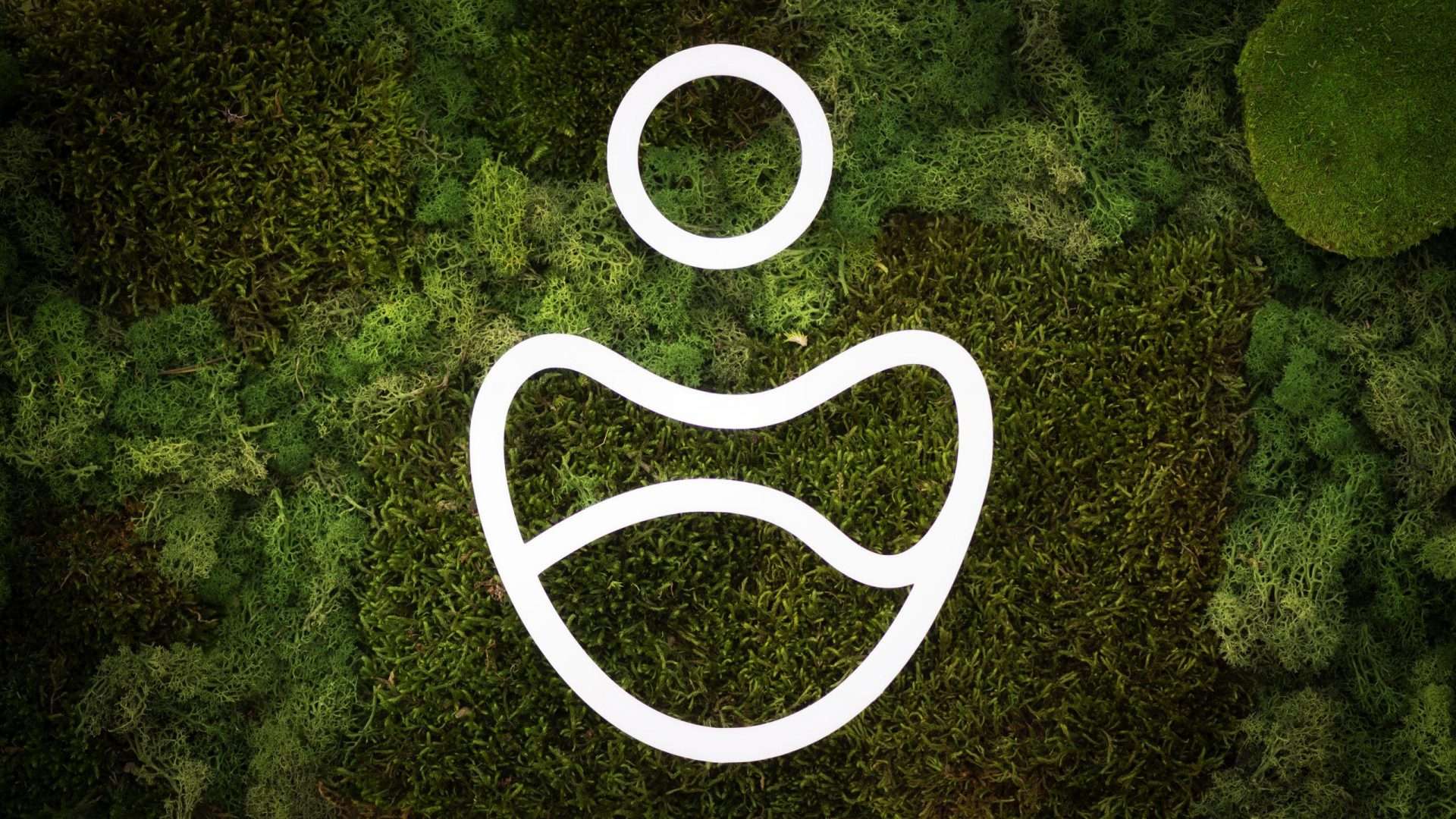 Mooshintergrund Leufker Rhein Logo